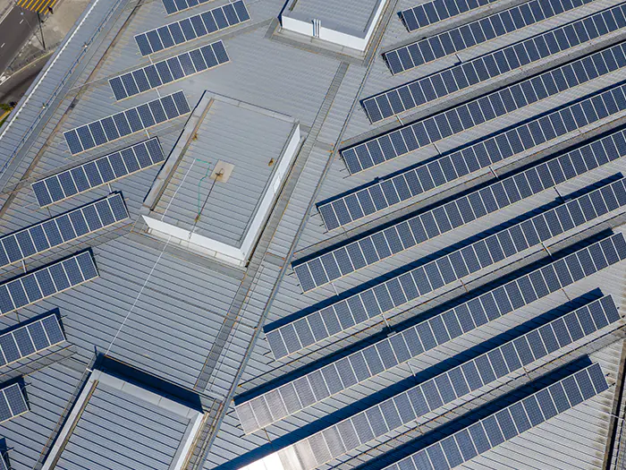 zakelijk zonnepanelen bedrijf